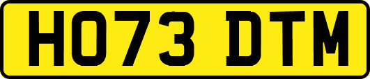 HO73DTM