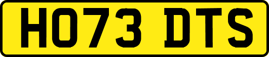 HO73DTS