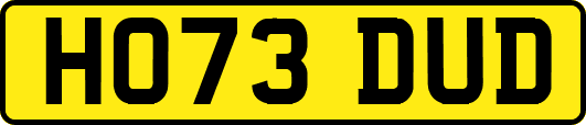HO73DUD