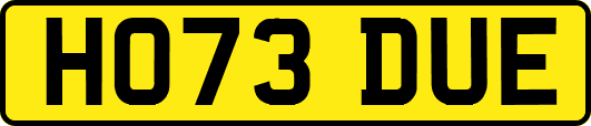 HO73DUE