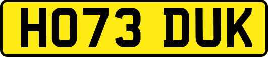 HO73DUK