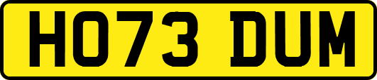 HO73DUM