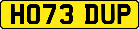 HO73DUP