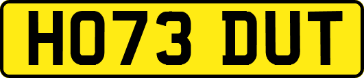 HO73DUT