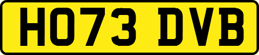 HO73DVB