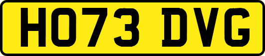 HO73DVG