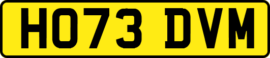 HO73DVM
