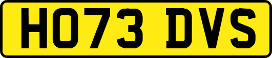 HO73DVS