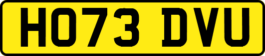 HO73DVU