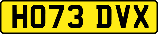 HO73DVX