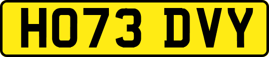 HO73DVY