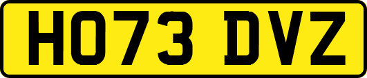 HO73DVZ