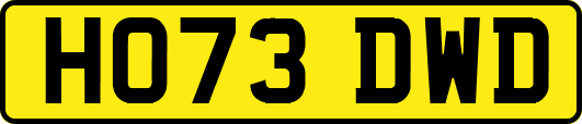 HO73DWD