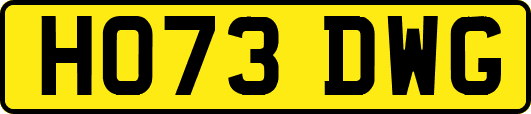 HO73DWG