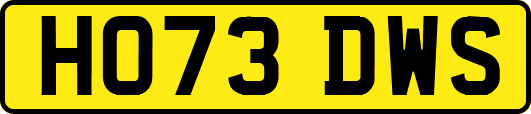 HO73DWS