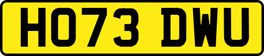 HO73DWU