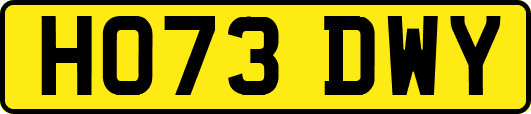 HO73DWY