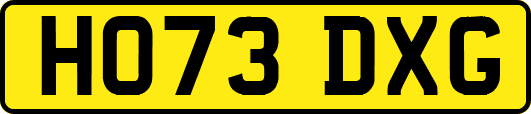HO73DXG