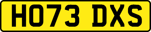 HO73DXS