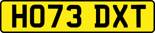 HO73DXT