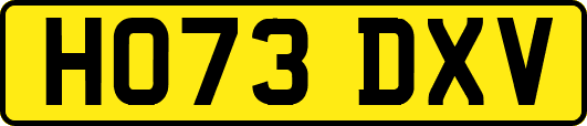 HO73DXV