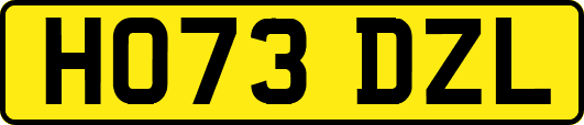 HO73DZL