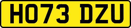 HO73DZU