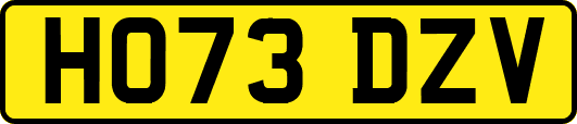 HO73DZV