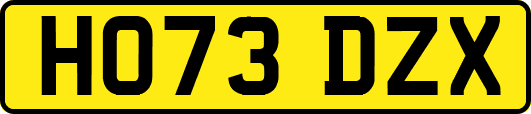 HO73DZX