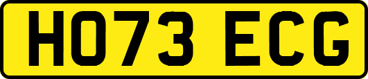 HO73ECG