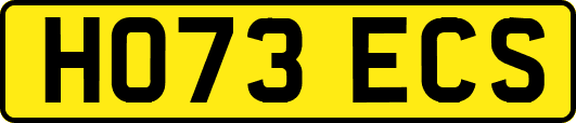 HO73ECS