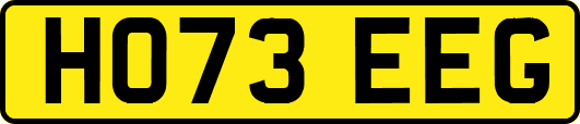 HO73EEG