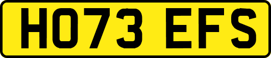 HO73EFS