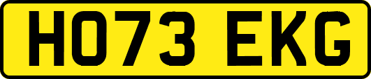 HO73EKG