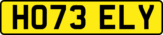 HO73ELY