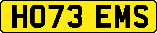 HO73EMS