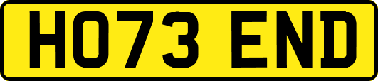 HO73END