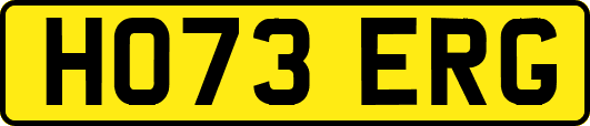 HO73ERG