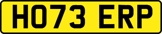 HO73ERP