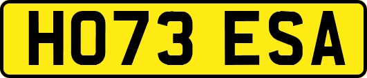 HO73ESA