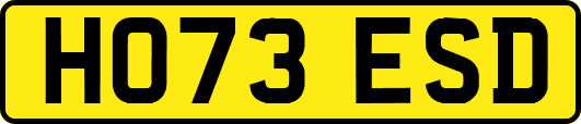 HO73ESD
