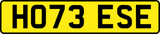 HO73ESE
