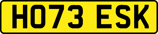 HO73ESK