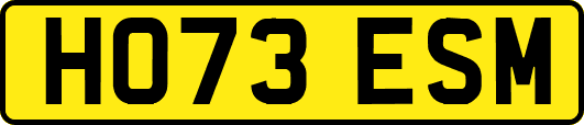 HO73ESM