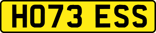 HO73ESS