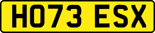 HO73ESX