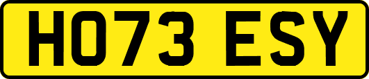 HO73ESY