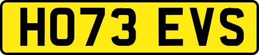 HO73EVS