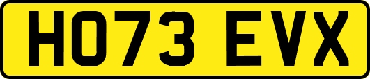 HO73EVX