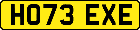 HO73EXE
